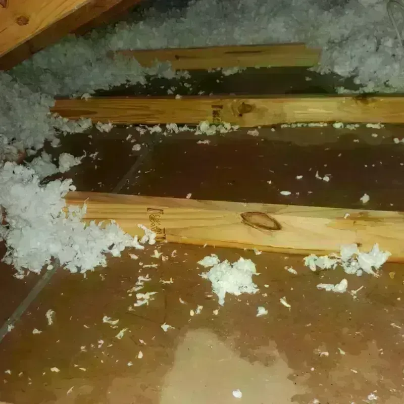 Attic Water Damage in Glenvar Heights, FL